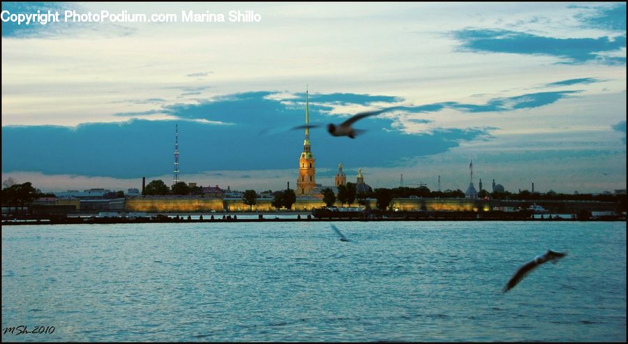 Water, Harbor, Port, Waterfront, Boardwalk, Deck, Path