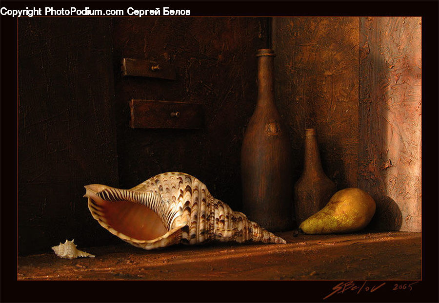 Clam, Sea Life, Seashell, Pot, Pottery