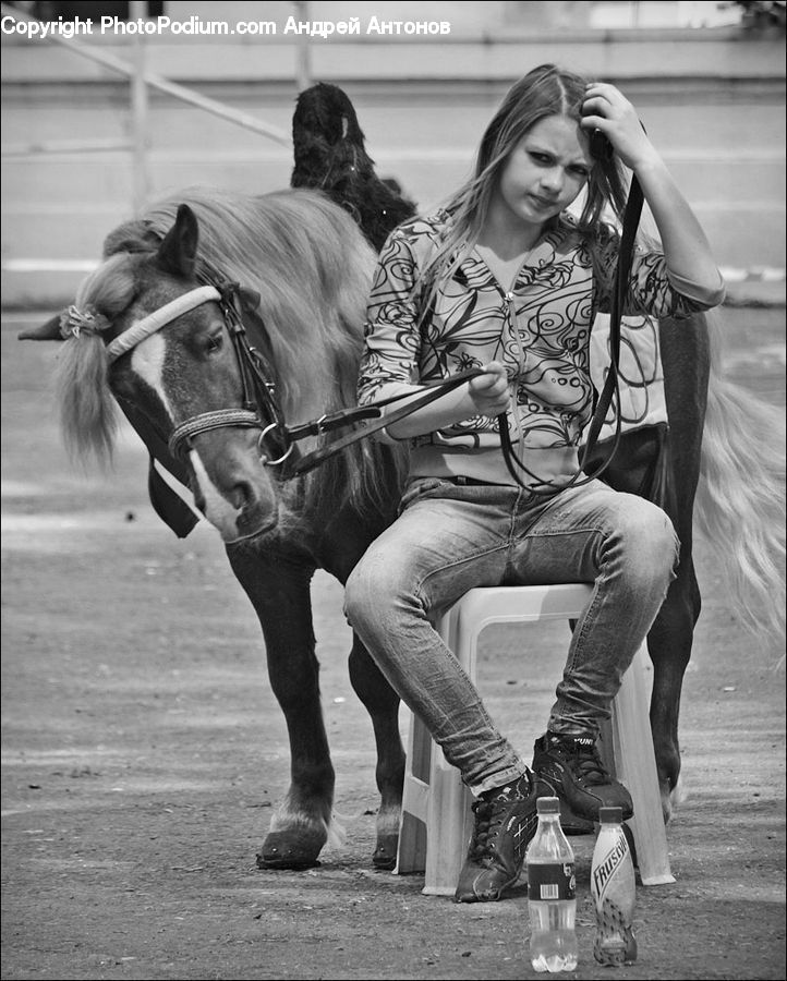 People, Person, Human, Animal, Horse, Mammal, Bench