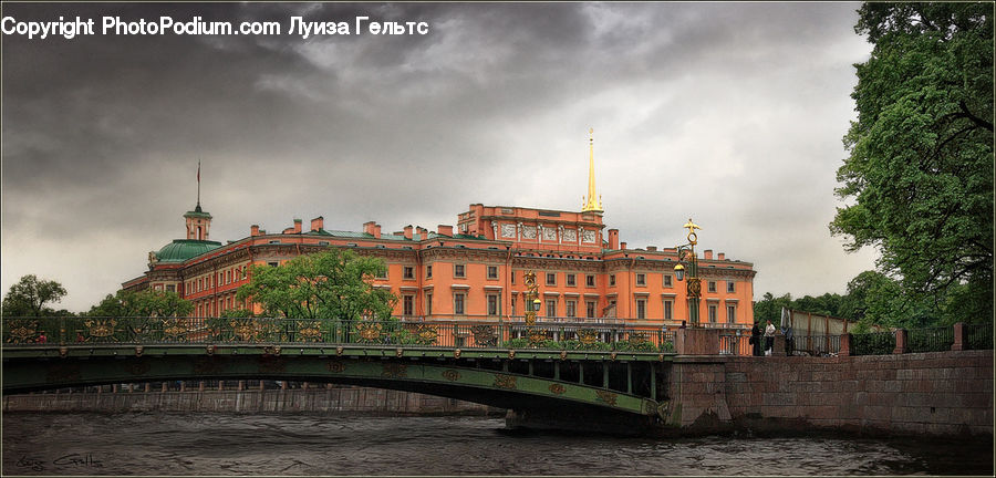 Brick, Terrace, Parliament, Conifer, Plant, Tree, Wood