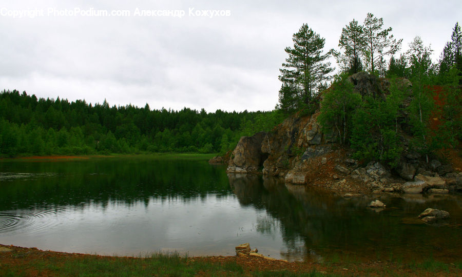 Outdoors, Pond, Water, Plant, Tree, Creek, River