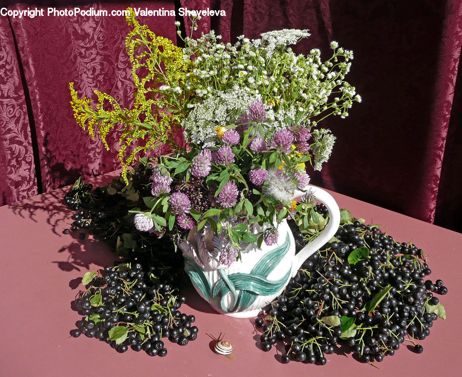 Plant, Potted Plant, Garden, Gardening, Pot, Pottery, Blossom