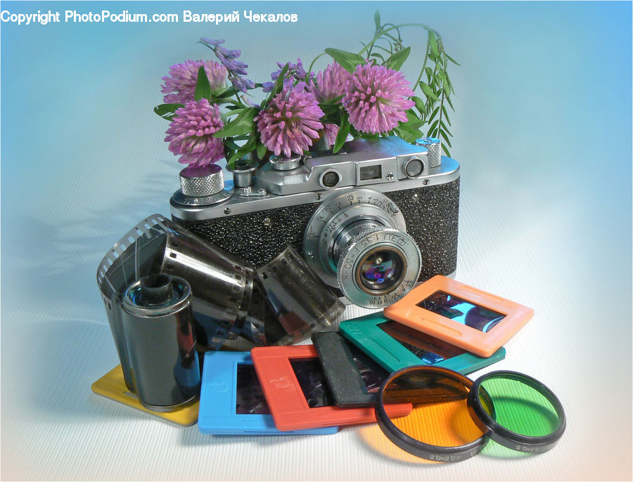 Plant, Potted Plant, Flower, Flower Arrangement, Flower Bouquet, Appliance, Accessories