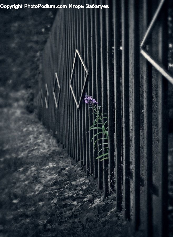 Alley, Alleyway, Road, Street, Town, Path, Trail