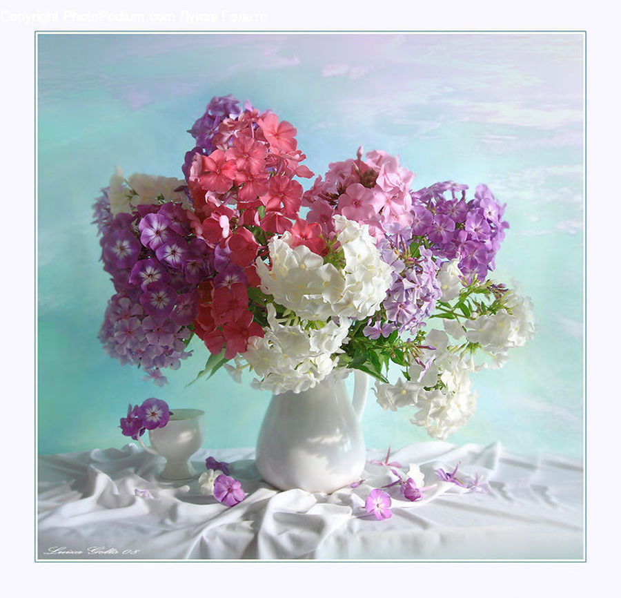 Blossom, Flower, Lilac, Plant, Peony, Flora, Flower Arrangement