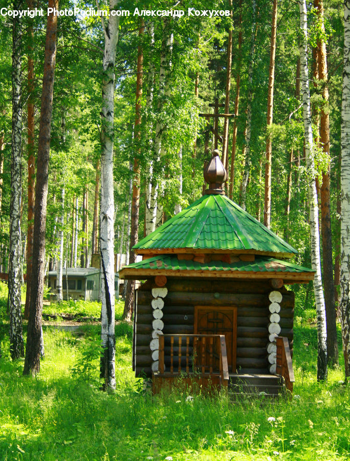 Building, Cabin, Shelter, Forest, Jungle, Rainforest, Vegetation