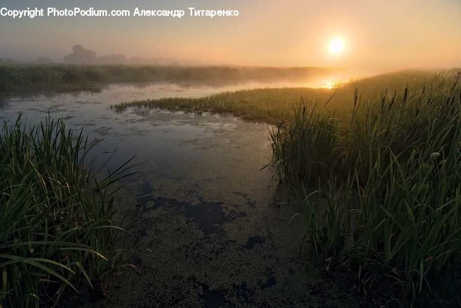 Dawn, Dusk, Sky, Sunrise, Sunset, Land, Marsh