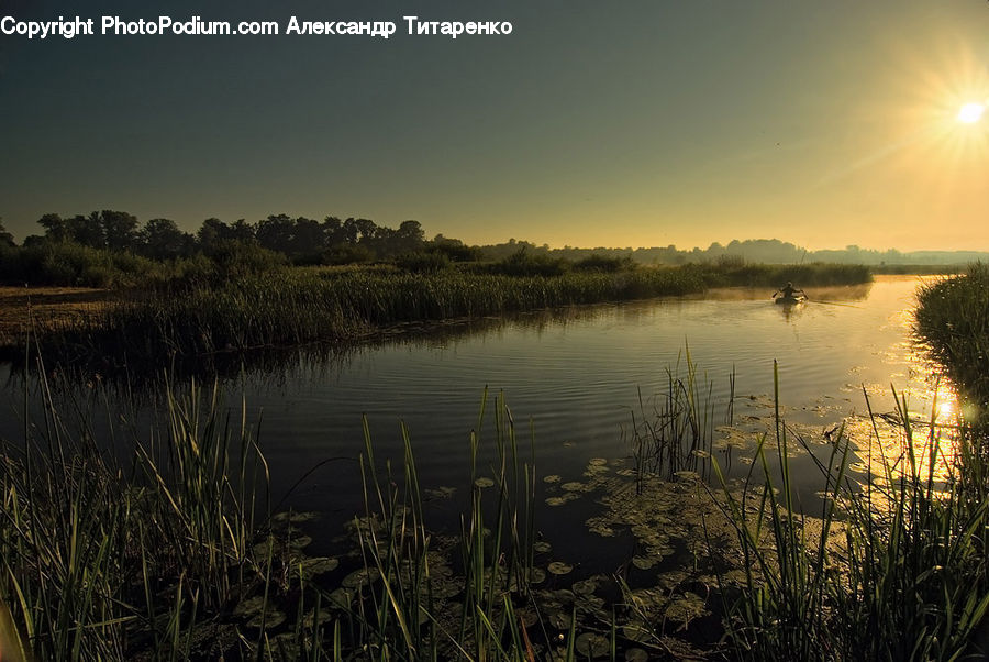 Grass, Plant, Reed, Dawn, Dusk, Sky, Sunrise