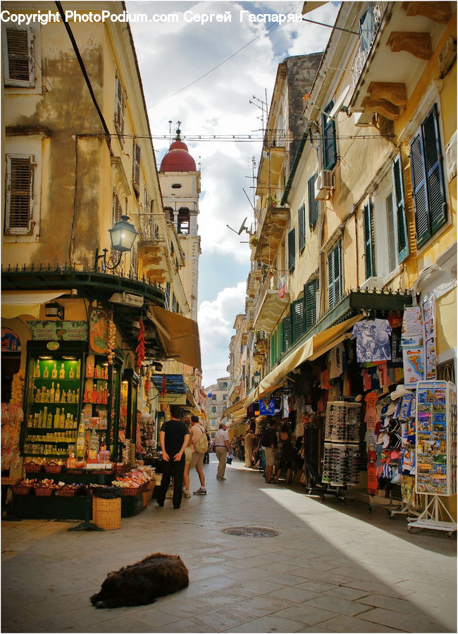 Road, Street, Town, Bazaar, Market, Shop, Building