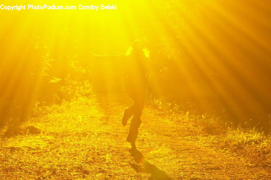 Flare, Light, Sunlight, Field, Grass, Grassland, Plant