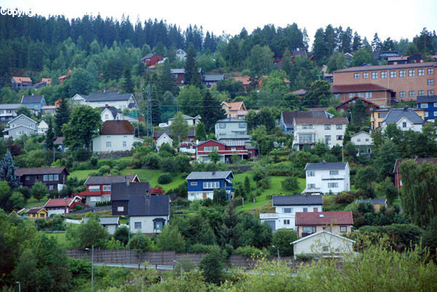 Building, Housing, Villa, Aerial View, Conifer, Fir, Pine