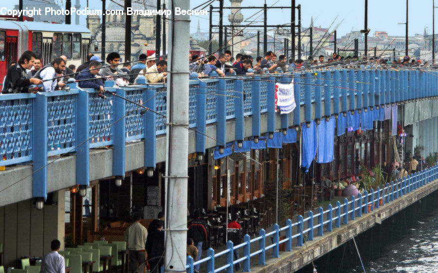 People, Person, Human, Bench, Crowd