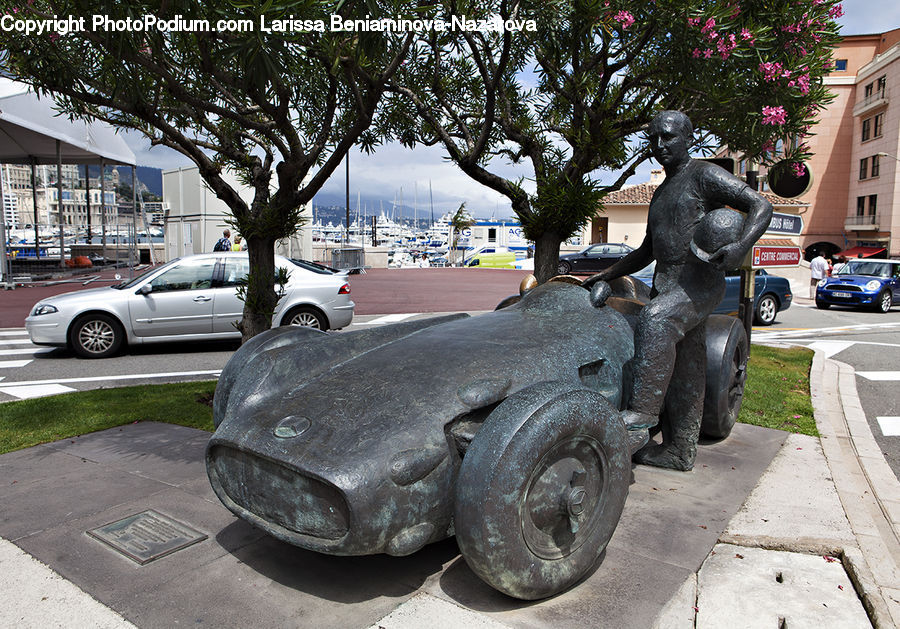 Plant, Potted Plant, Cannon, Weaponry, Automobile, Car, Vehicle