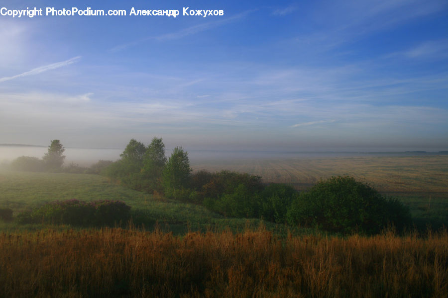 Field, Grass, Grassland, Land, Outdoors, Plant, Landscape