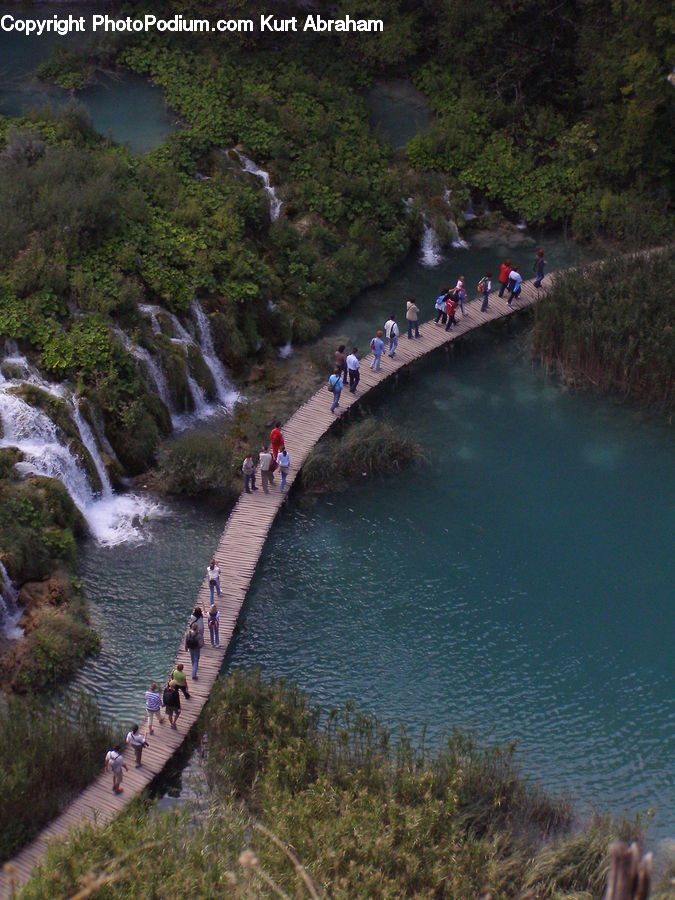 Creek, Outdoors, River, Water, Lagoon, Lake, Forest
