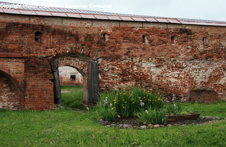 Castle, Fort, Blossom, Daffodil, Flora, Flower, Plant