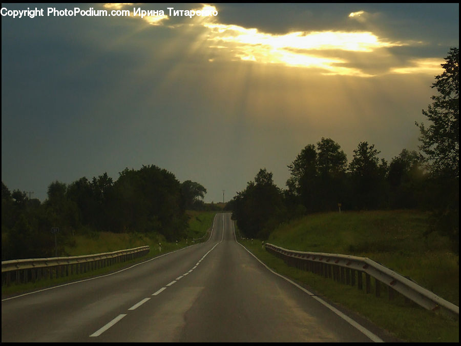 Road, Freeway, Plant, Tree, Highway, Dirt Road, Gravel