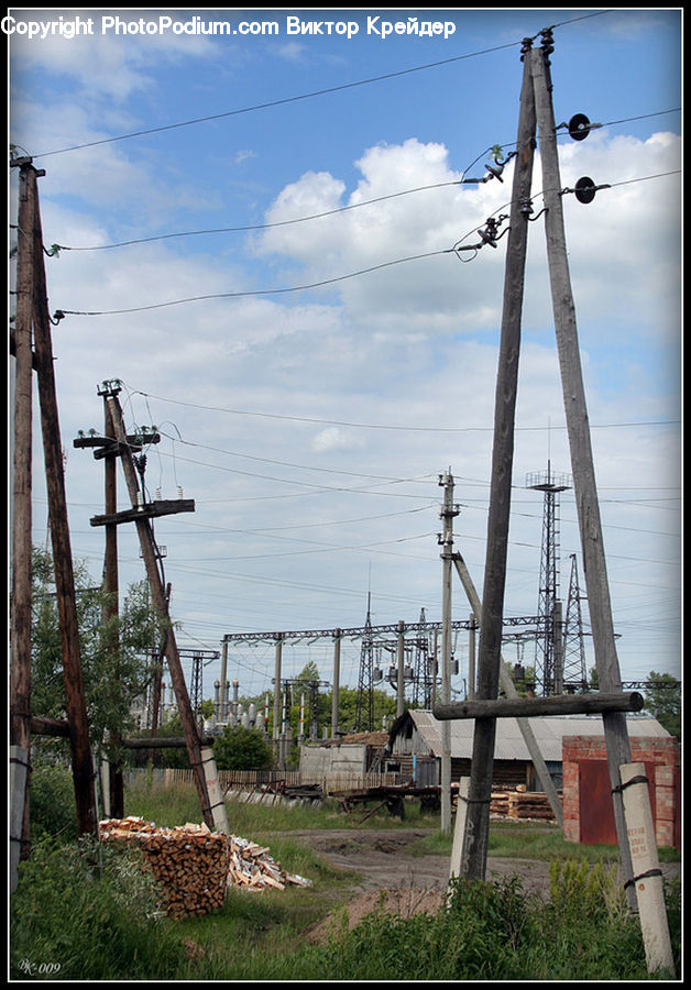 Constriction Crane, Column, Pillar, Rubble, Forest, Vegetation, Fir