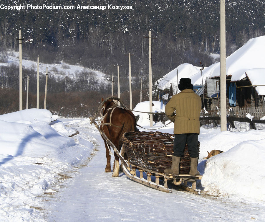 People, Person, Animal, Horse, Mammal, Human, Ice
