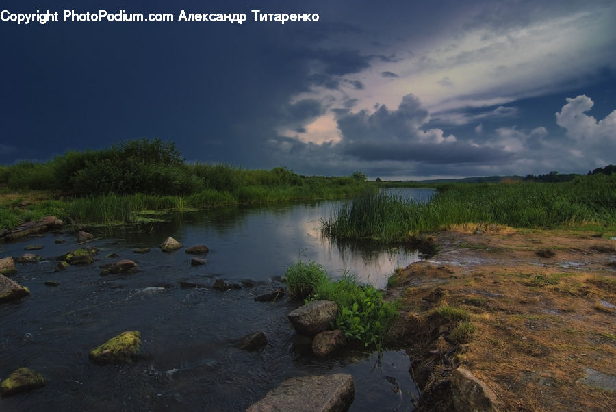 Land, Marsh, Outdoors, Swamp, Water, Pond, Lake