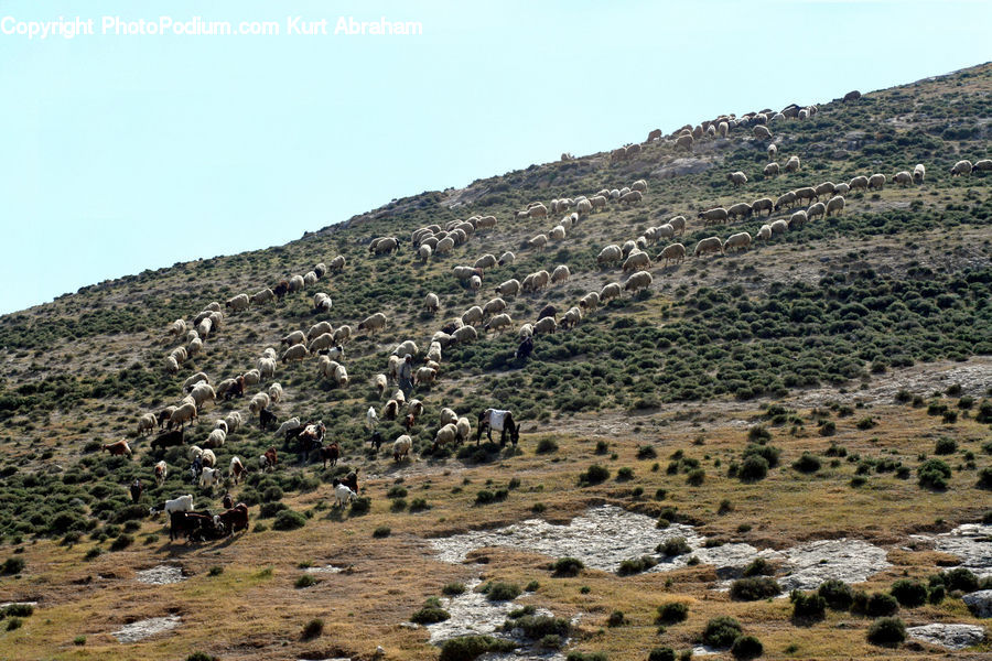 Outdoors, Wilderness, Crest, Mountain, Peak, Field, Grass