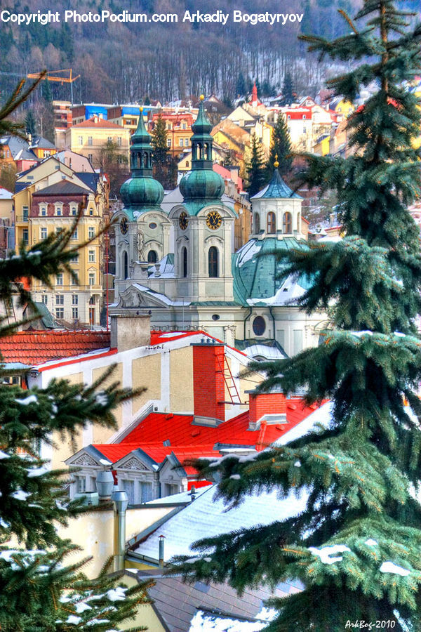 Plant, Potted Plant, Architecture, Church, Worship, Housing, Monastery