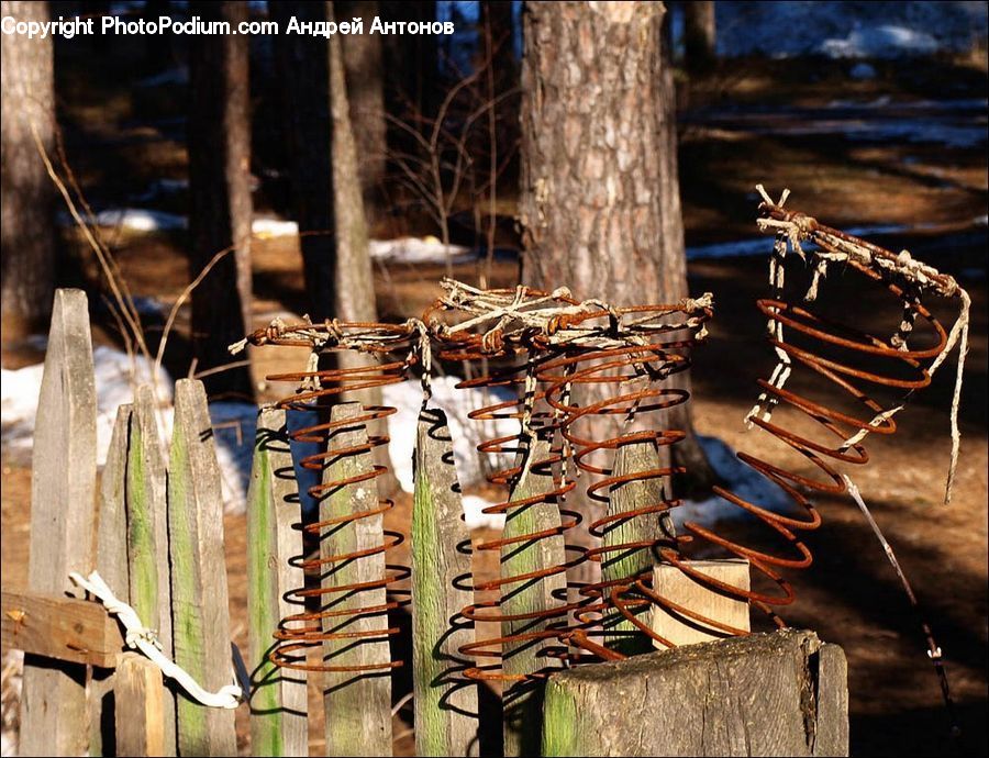 Rust, Bench, Bazaar, Market, Art, Modern Art, Conifer