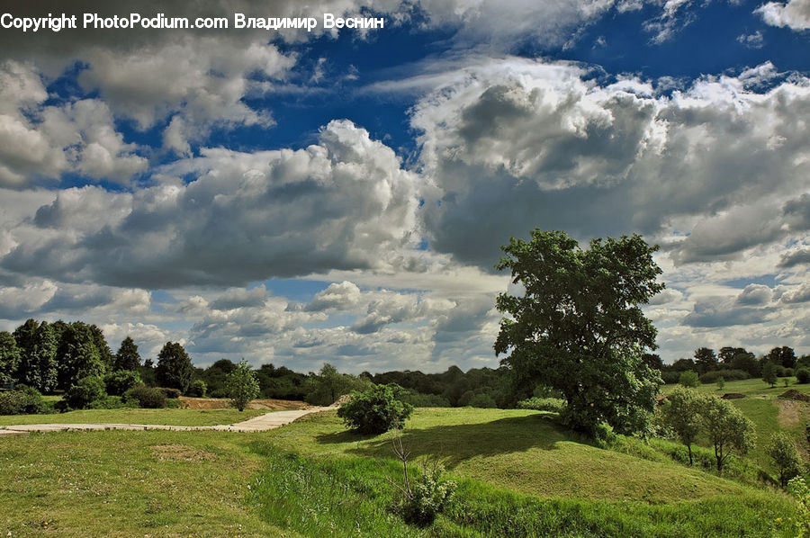 Cloud, Cumulus, Sky, Field, Grass, Grassland, Land