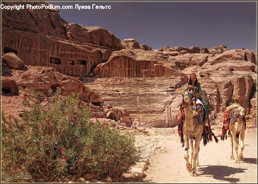 Desert, Outdoors, Tribe, Mesa, Bush, Plant, Vegetation