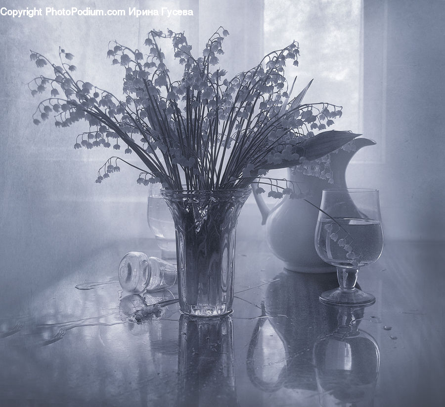 Plant, Potted Plant, Beverage, Drink