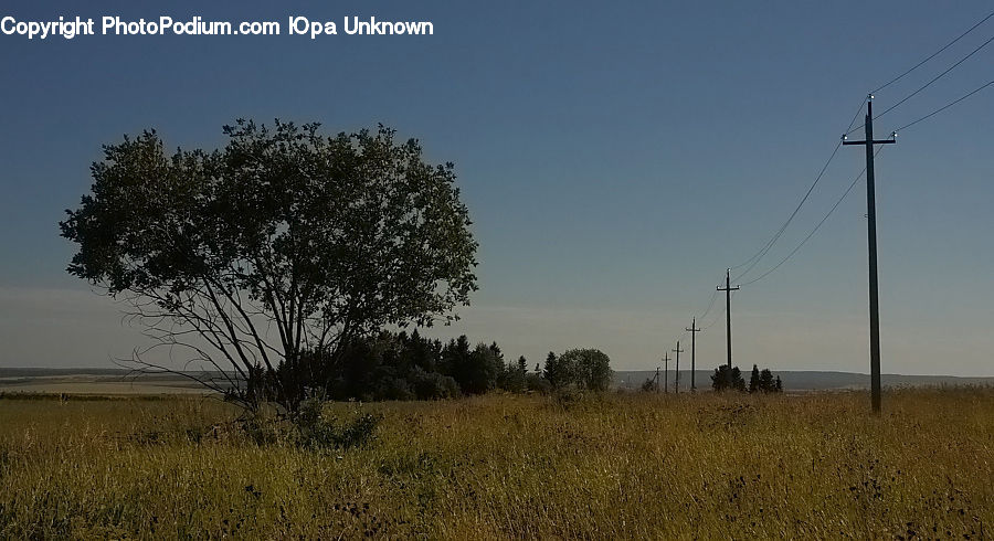 Field, Grass, Grassland, Land, Outdoors, Cable, Electric Transmission Tower