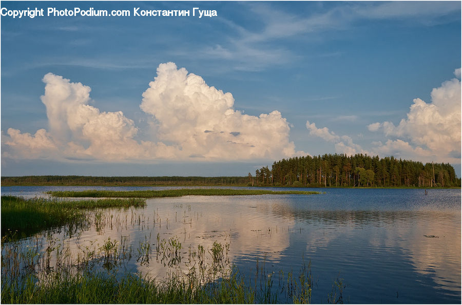 Cloud, Cumulus, Sky, Azure Sky, Outdoors, Field, Grass