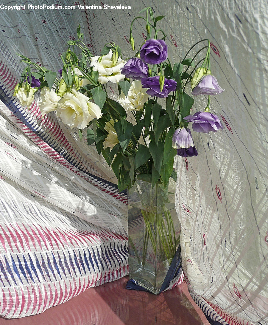 Flower, Flower Arrangement, Flower Bouquet, Floral Design, Ikebana, Cushion, Home Decor