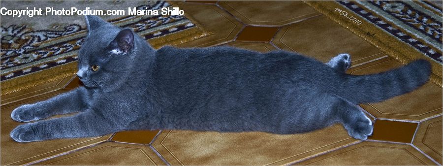 Blanket, Home Decor, Quilt, Towel, Clothing, Denim, Jeans