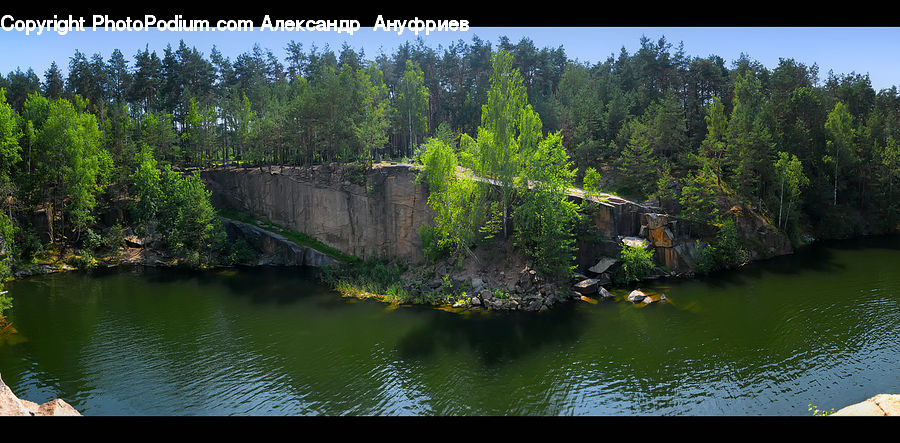 Outdoors, Pond, Water, Forest, Grove, Land, Vegetation
