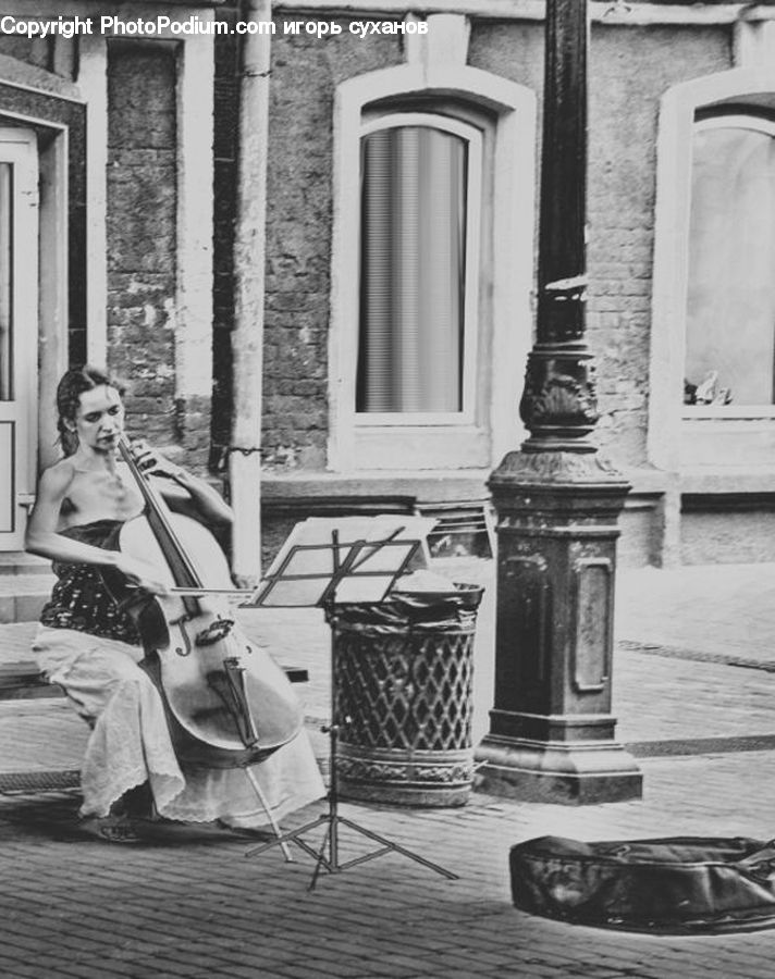 People, Person, Human, Fiddle, Musical Instrument, Viola, Violin