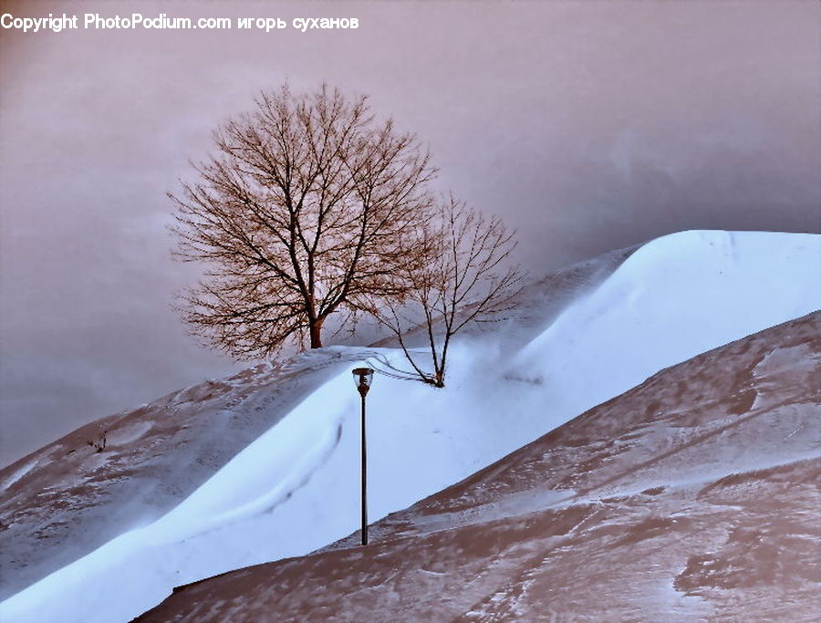 Blizzard, Outdoors, Snow, Weather, Winter