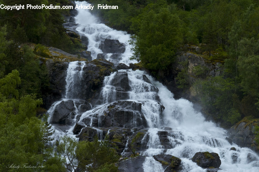 Creek, Outdoors, River, Water, Waterfall, Forest, Vegetation