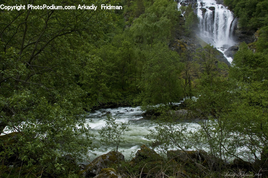 Creek, Outdoors, River, Water, Waterfall, Forest, Jungle