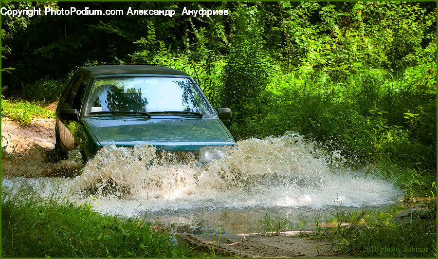 Forest, Jungle, Rainforest, Vegetation, Dirt Road, Gravel, Road
