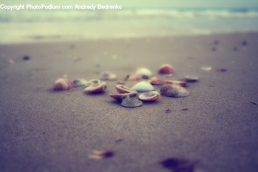 Ball, Sphere, Beach, Coast, Outdoors, Sea, Water