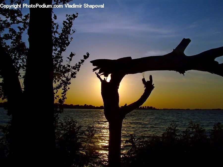 Silhouette, Plant, Tree, Outdoors, Sea, Water, Mountain