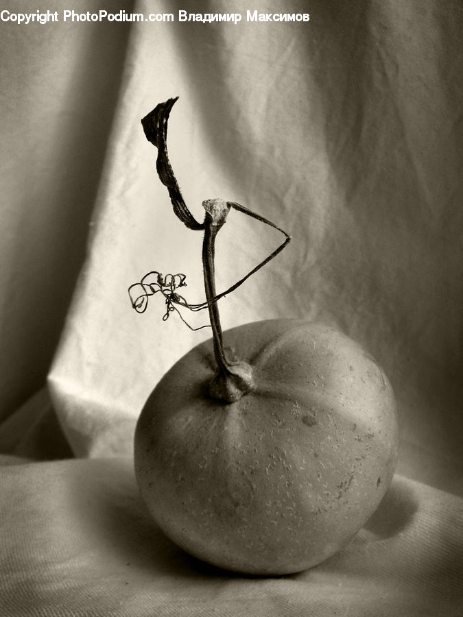 Apple, Fruit, Cherry, Plant