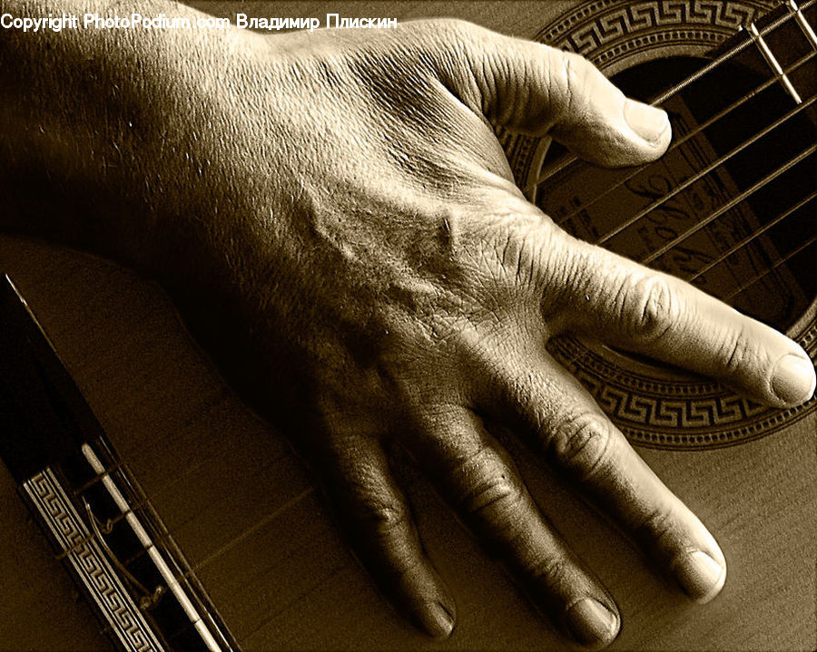 Finger, Emblem, Logo, Label, Text