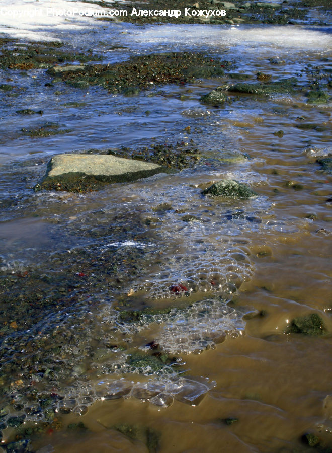 Algae, Water, Bubble, Creek, Outdoors, River