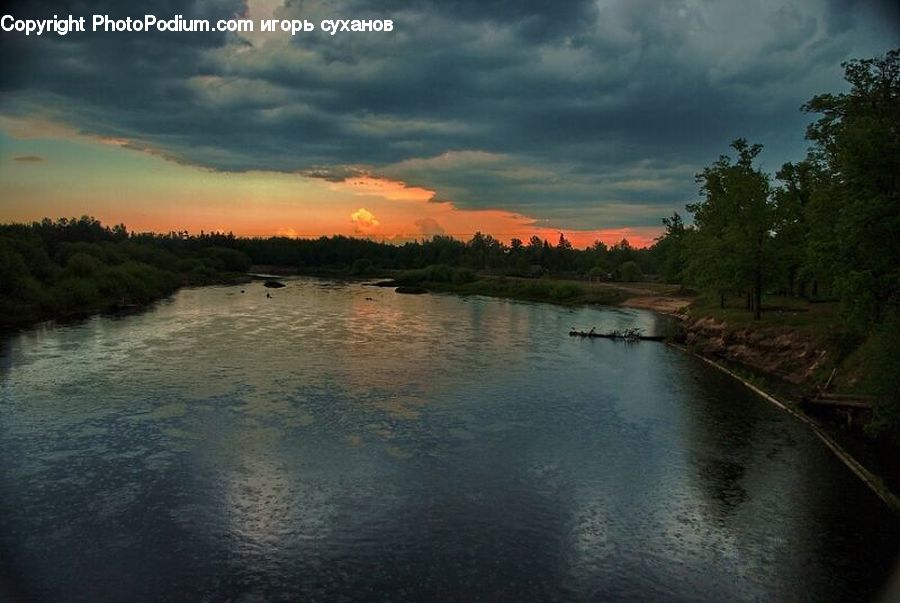 Outdoors, River, Water, Forest, Vegetation, Grove, Land