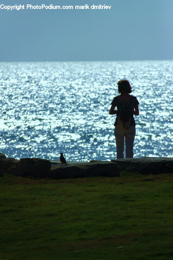 Human, People, Person, Coast, Outdoors, Sea, Water