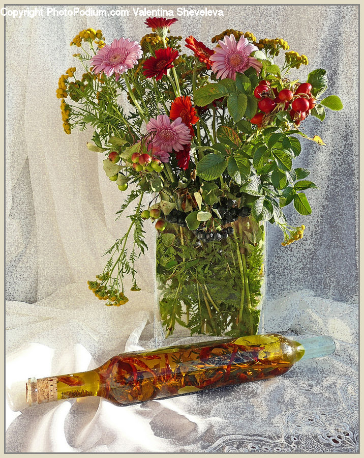 Bonsai, Plant, Potted Plant, Tree, Flower, Flower Arrangement, Flower Bouquet