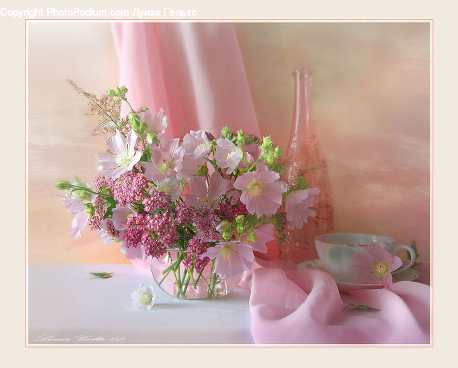 Blossom, Flower, Lilac, Plant, Porcelain, Saucer, Flora
