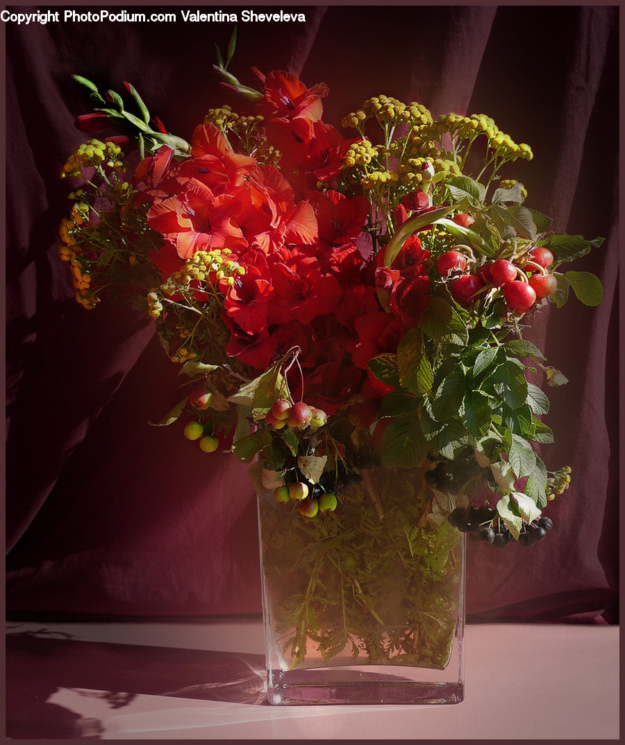 Plant, Potted Plant, Floral Design, Flower, Flower Arrangement, Flower Bouquet, Ikebana